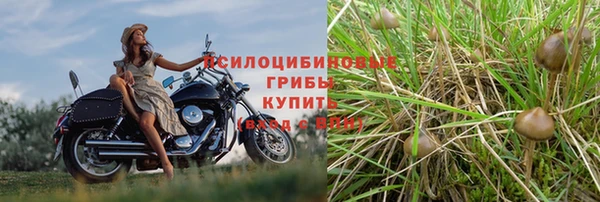 герыч Аркадак